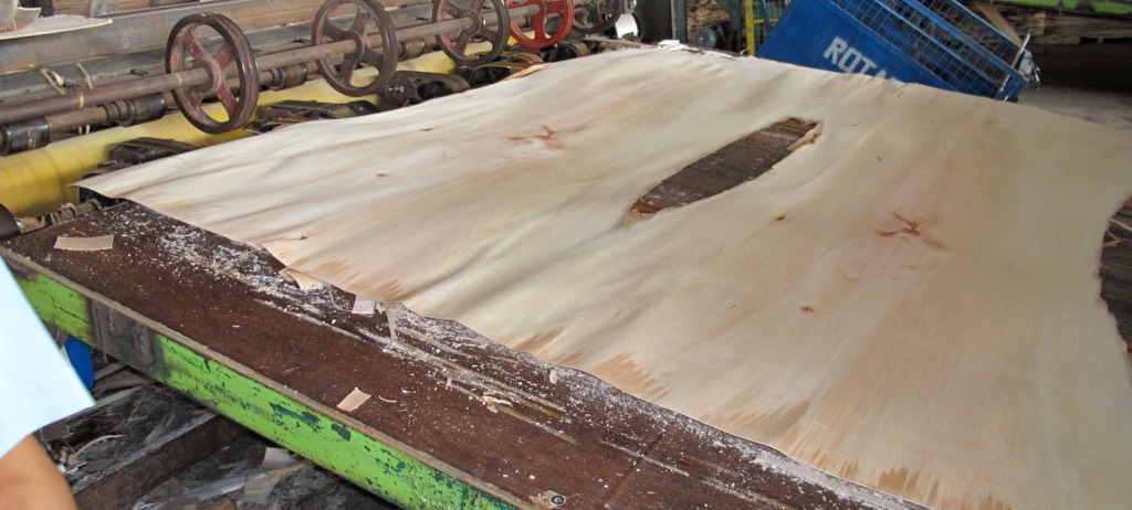 Veneer