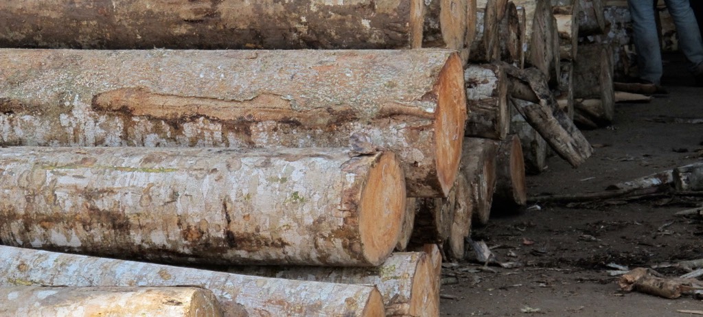 Logs